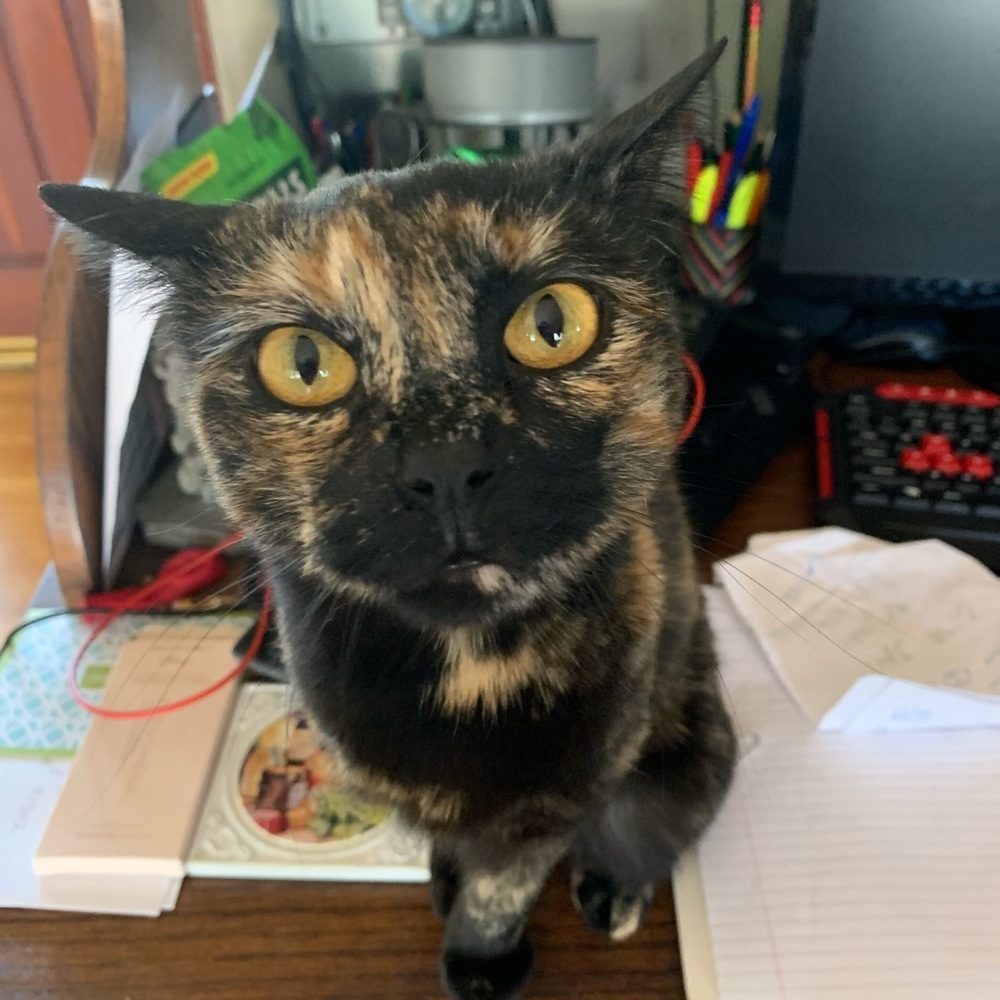 Meet your Posher, Sharon